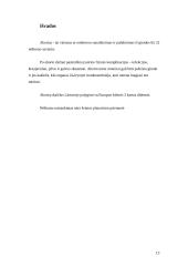 Abortų atlikimas 13 puslapis