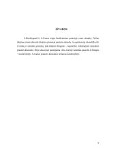 Absurdo jausmas 8 puslapis