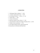 Absurdo jausmas 9 puslapis