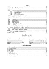 Adobe Photoshop CS2 2 puslapis