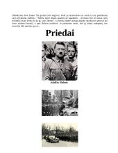 Adolfas Hitleris 8 puslapis