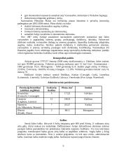 Airija, Airijos ypatybės 6 puslapis