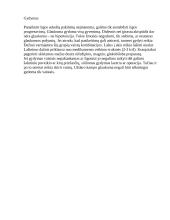 Akių ligos (projektinis darbas) 6 puslapis