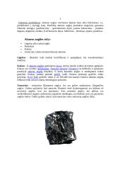 Akmens anglies geologija 4 puslapis
