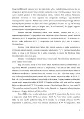 Alaus gamyba ir technologija 5 puslapis