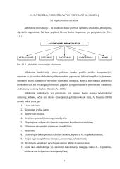 Alkoholizmas ir alkoholizmo gydymas 8 puslapis
