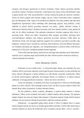 Antikos menas ir gyvenimas 5 puslapis