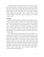 Antikos kultūra – didžiojo meno periodo Europoje pradžia 10 puslapis