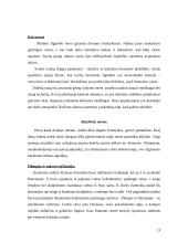 Antikos kultūra – didžiojo meno periodo Europoje pradžia 11 puslapis