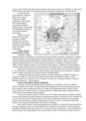 Antrasis pasaulinis karas - išsami raida ir istorija 2 puslapis