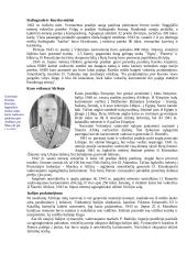 Antrasis pasaulinis karas - išsami raida ir istorija 14 puslapis