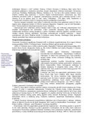 Antrasis pasaulinis karas - išsami raida ir istorija 16 puslapis