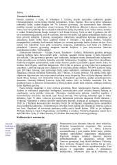 Antrasis pasaulinis karas - išsami raida ir istorija 18 puslapis