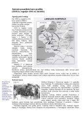 Antrasis pasaulinis karas - išsami raida ir istorija 6 puslapis