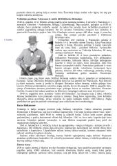 Antrasis pasaulinis karas - išsami raida ir istorija 7 puslapis