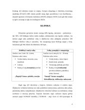 Atopinis dermatitas (dermatitis atopica) 4 puslapis
