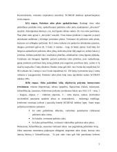 Atopinis dermatitas (dermatitis atopica) 5 puslapis