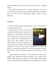 Aukštaitijos nacionalinis parkas - istorija, struktūra ir apsauga 9 puslapis