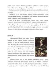 Aukštaitijos nacionalinis parkas - istorija, struktūra ir apsauga 10 puslapis