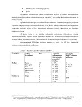 Lietuvos aukštojo mokslo sistema 11 puslapis