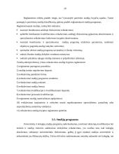 Aukštojo mokslo plėtotės Lietuvoje analizė 20 puslapis