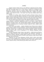 Aukštojo mokslo sistema Jungtinėse Amerikos Valstijose 3 puslapis