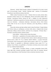 Aukštojo mokslo sistema Prancūzijoje 3 puslapis