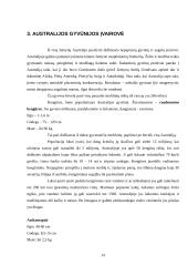 Australijos charakteristika 14 puslapis