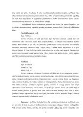 Australijos charakteristika 17 puslapis