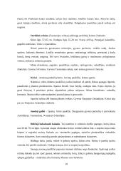 Australijos charakteristika 18 puslapis