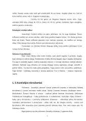 Australijos charakteristika 7 puslapis