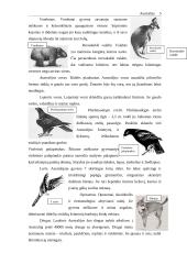 Australijos Respublika 4 puslapis