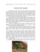 Australijos gamta 13 puslapis