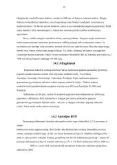 Austrijos Respublika, jos charakteristika 12 puslapis