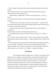 Austrijos Respublika, jos charakteristika 13 puslapis