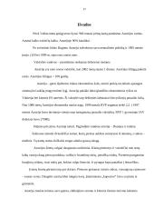 Austrijos Respublika, jos charakteristika 15 puslapis