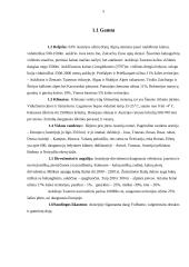 Austrijos Respublika, jos charakteristika 3 puslapis