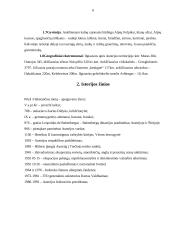 Austrijos Respublika, jos charakteristika 4 puslapis