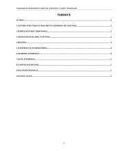 Automatinės dokumento tvarkymo priemonės 2 puslapis