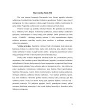 Automatizuotos elektroninių puslapių kūrimo priemonės 9 puslapis