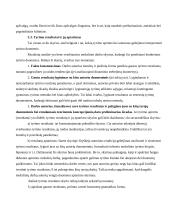 Bakalauro darbo turinys 11 puslapis