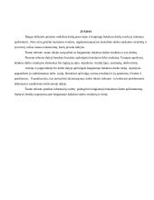 Bakalauro darbo turinys 3 puslapis