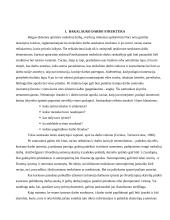 Bakalauro darbo turinys 4 puslapis