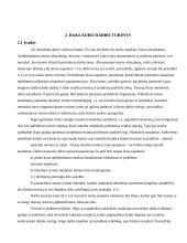 Bakalauro darbo turinys 7 puslapis