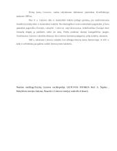 Baltijos pasaulio kultūra 5 puslapis