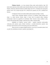 Baltijos regiono salos 16 puslapis