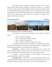 Baltijos regiono salos 6 puslapis