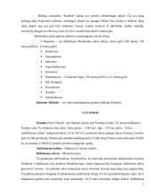 Baltijos regiono salos 7 puslapis