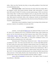 Baltijos regiono salos 8 puslapis