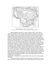 Baltų gentinių junginių formavimasis ir baltų genčių sąjungos 8 puslapis